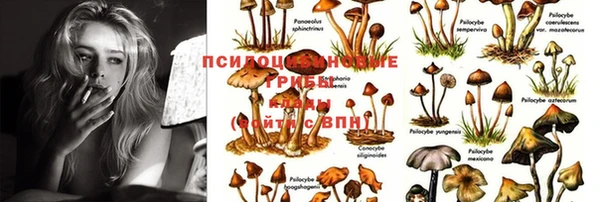 крисы Арсеньев