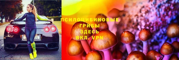 крисы Арсеньев