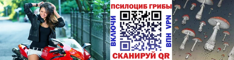 Псилоцибиновые грибы Psilocybe  Лихославль 